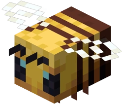 Bee (30 Dias)